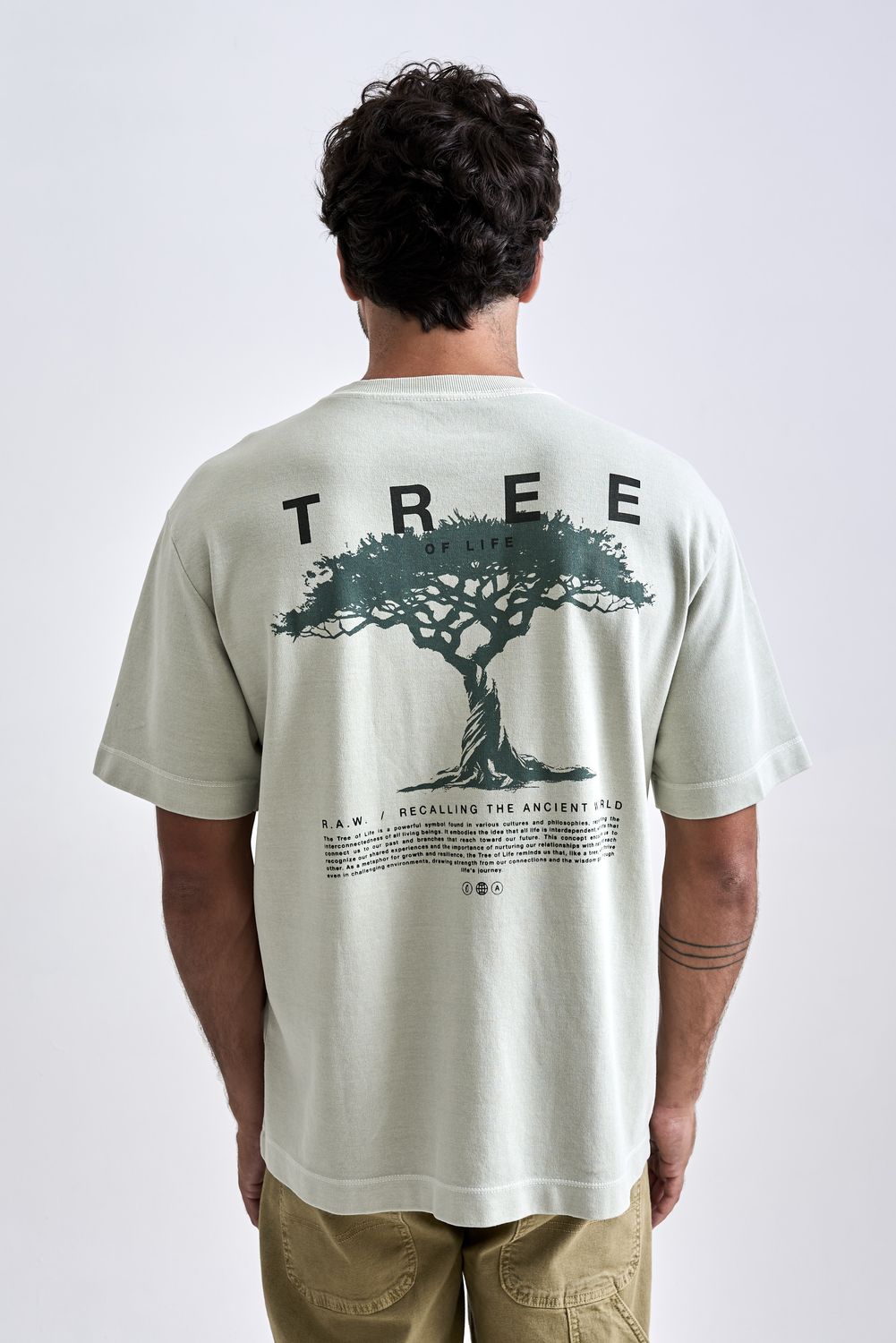 AUSTRAL_250319_6601.jpg AUSTRAL_250319_6601.jpg