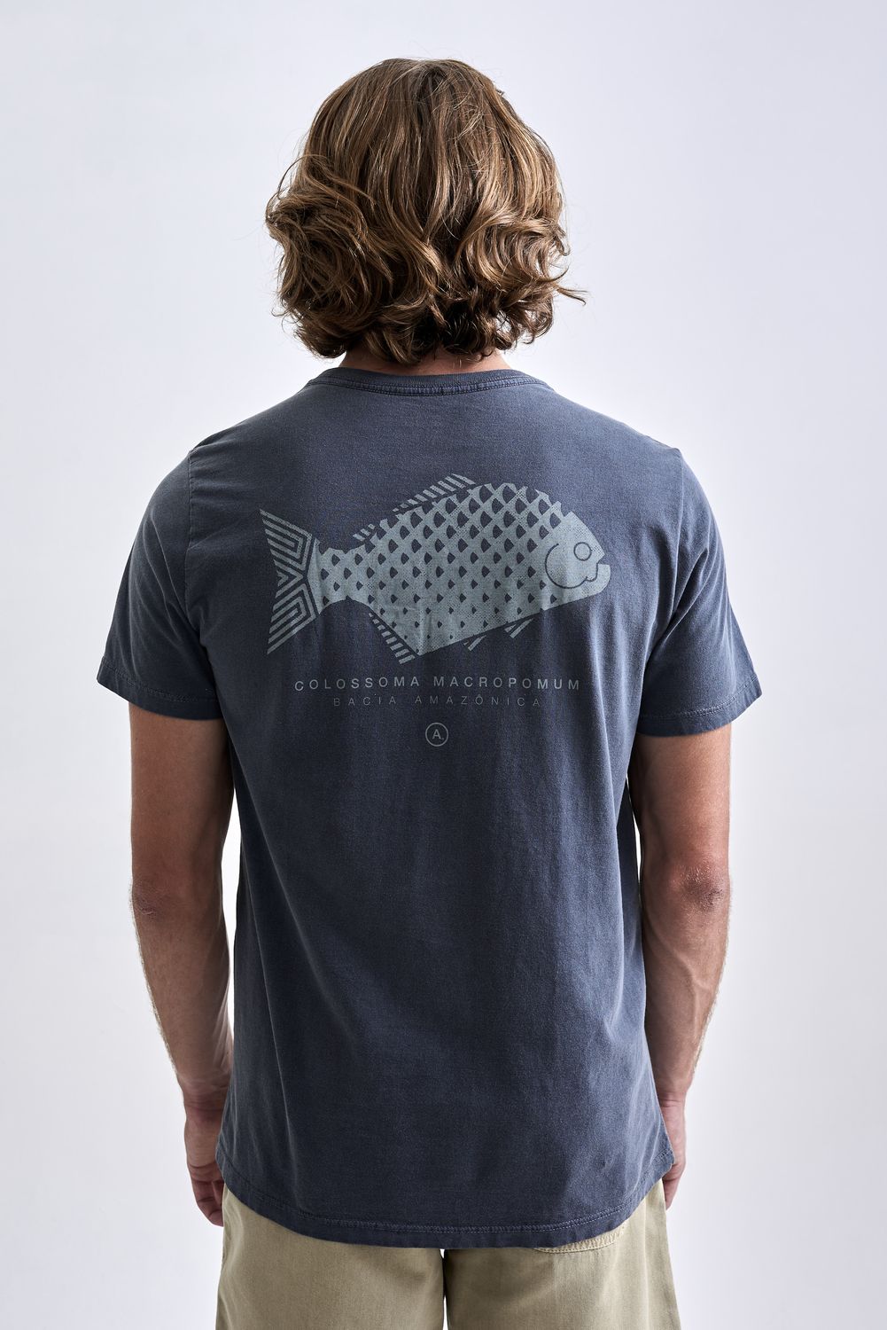 19061109_S01_5 19061109_S01_5