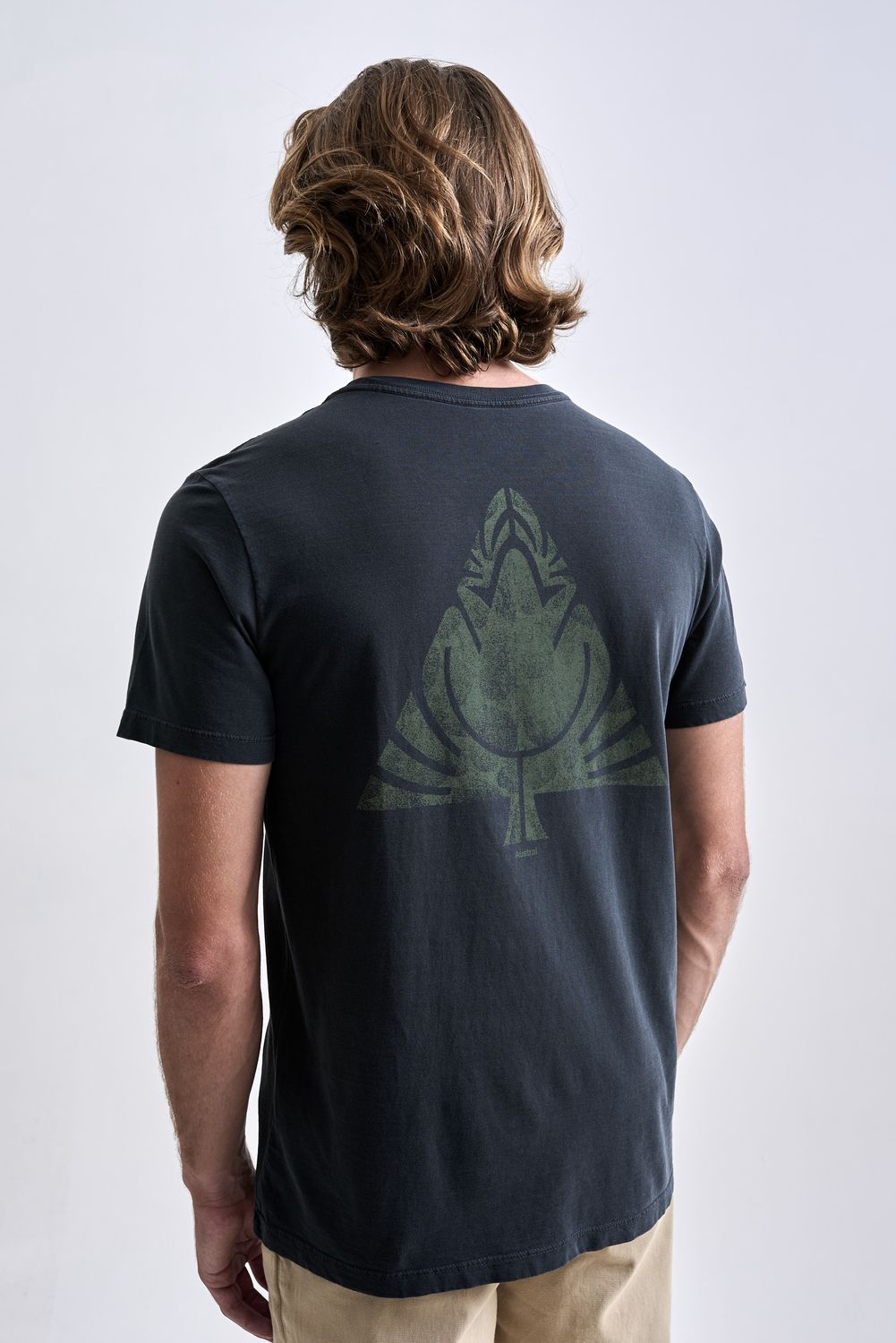 19061114_S11_6 19061114_S11_6