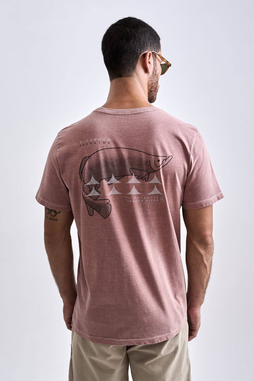 19061119_S31_8 19061119_S31_8