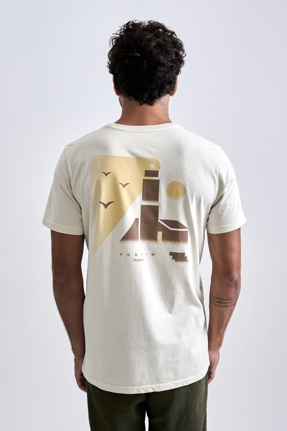 19061113_S41_8 19061113_S41_8