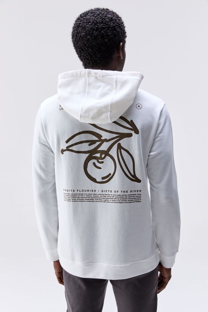 20260121_AUSTRAL_RM_37046-2