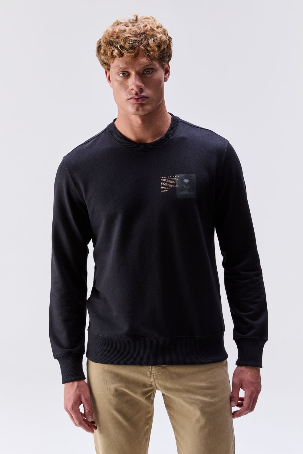 20260120_AUSTRAL_RM_35353