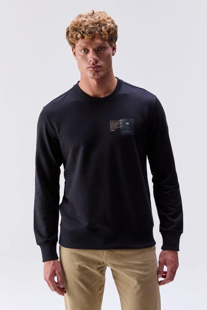 20260120_AUSTRAL_RM_35353