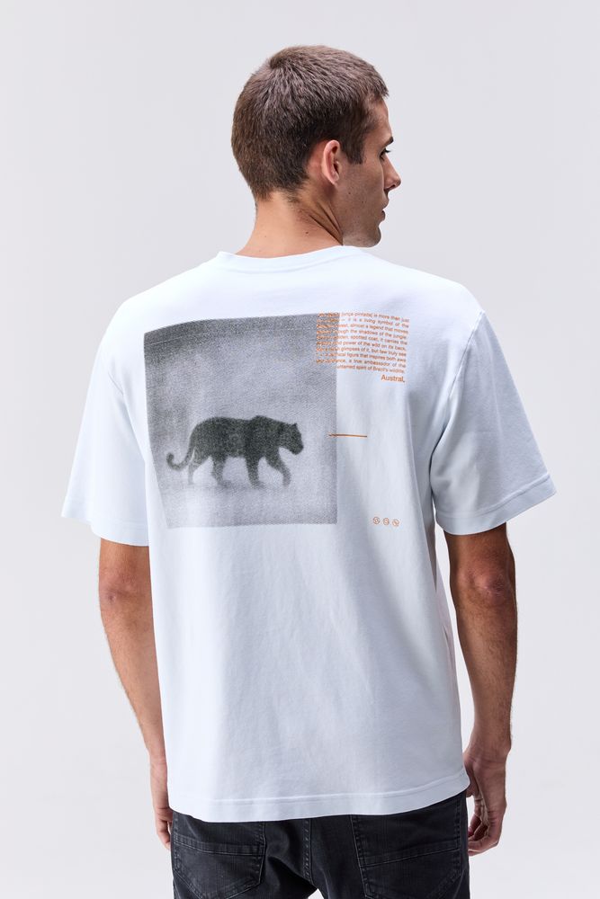 20260120_AUSTRAL_RM_35570