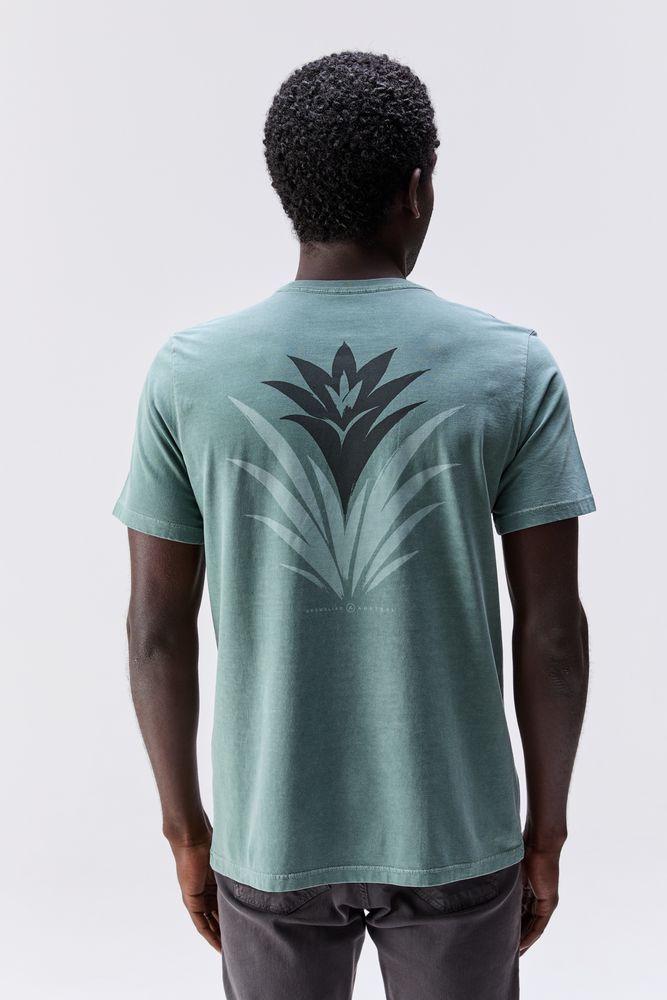 20260121_AUSTRAL_RM_37700