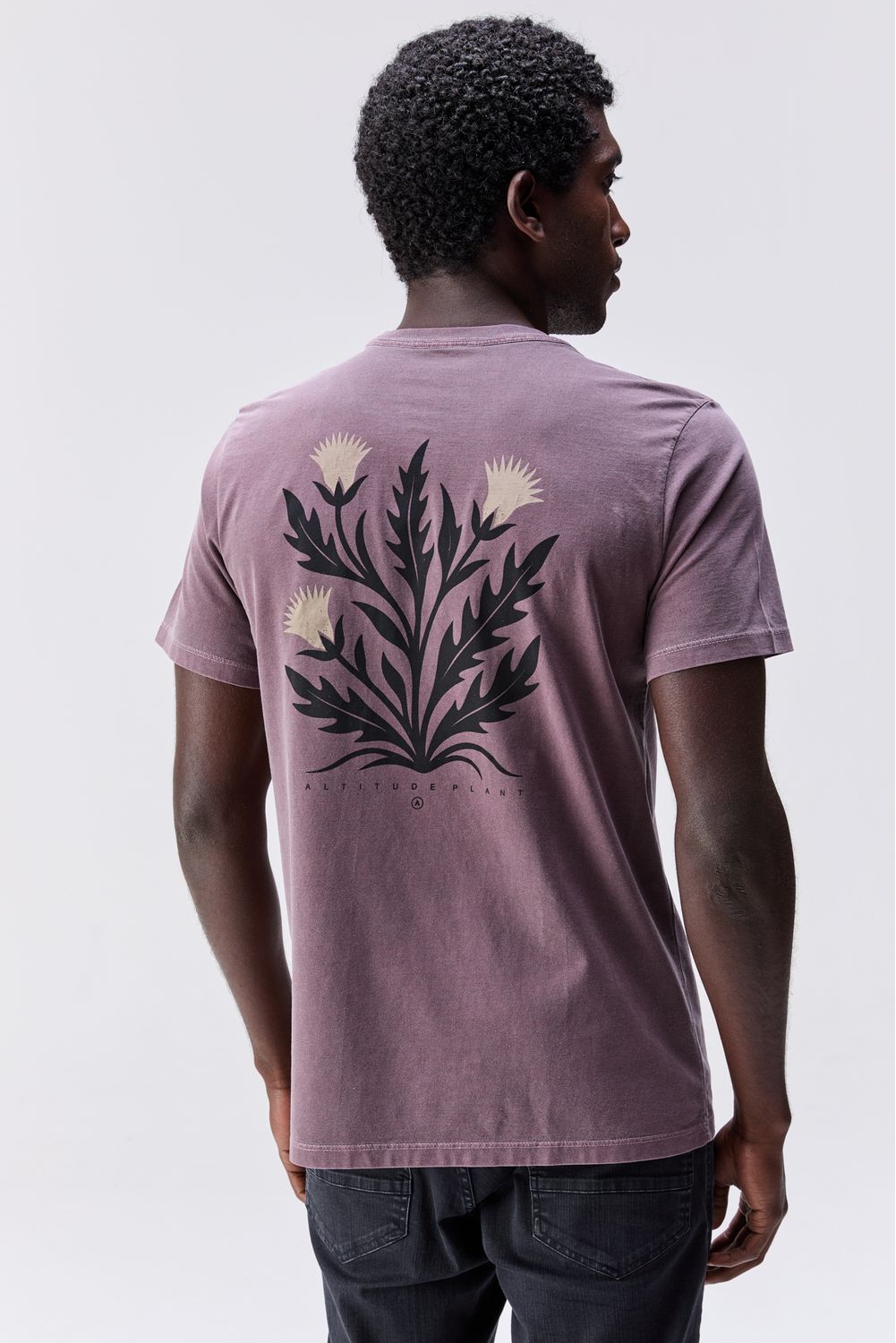 20260121_AUSTRAL_RM_38867