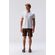 grok-image-3434a972-5691-4d96-bee2-868989eab0d5