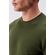 image--4-