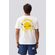 Design-sem-nome--16-
