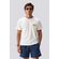 Design-sem-nome--17-